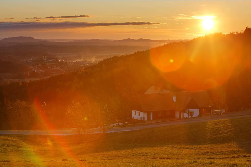 Hotel Schilcherlandhof Штайнц Экстерьер фото